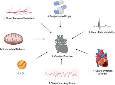 Improving Diuretic Response in Heart Failure by Implementing a Patient-Tailored Variability and Chronotherapy-Guided Algorithm